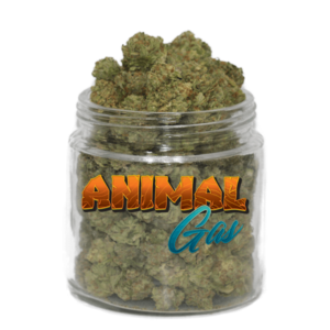 acheter-animal-gas-weed-cannabis-puissant-et-relaxant-weedoria.png