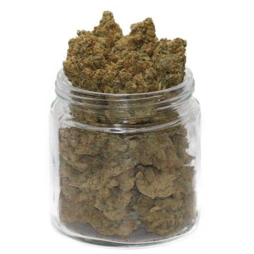 acheter-skrattande-buddha-weed-sativa-22-thc-weedoria.jpeg