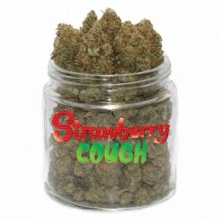 Acheter Strawberry Cough Weed | Weed fruitée 19 % THC –mamamaryeu.com