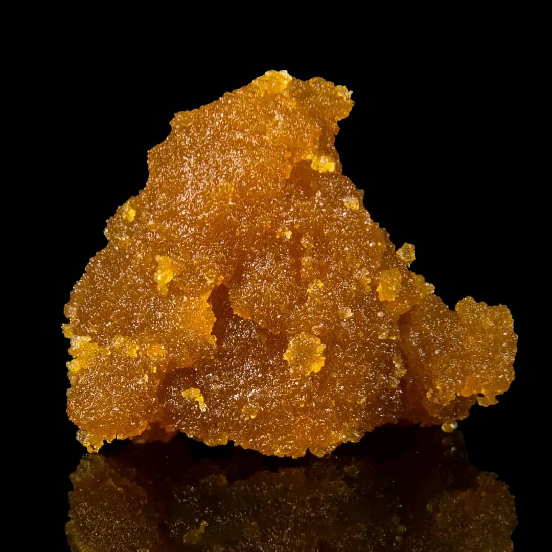 amnesia-z-auto-live-dabs-1.jpeg