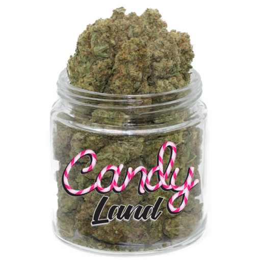 candyland-weed-acheter-weed-euphorique-et-sucree-weedoria.png