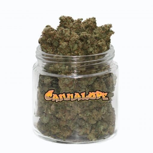 cannalope-haze-weed-acheter-weed-fruite-et-stimulant-weedoria.jpeg