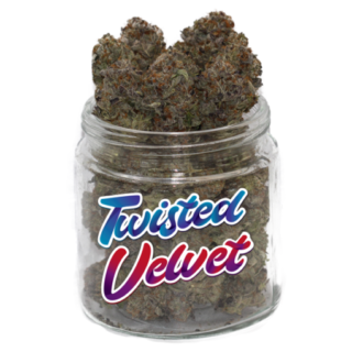 Commandez Twisted Velvet weed