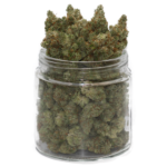 Frosty Bite Weed – Une Beuh Énergisante à 18% de THC aux Saveurs Thé et Terreuses