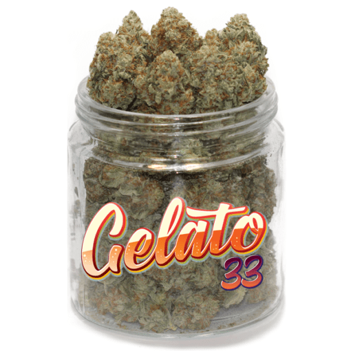 gelato-33-weed-une-fleur-de-cannabis-gourmande-et-puissante-a-20-de-thc.png