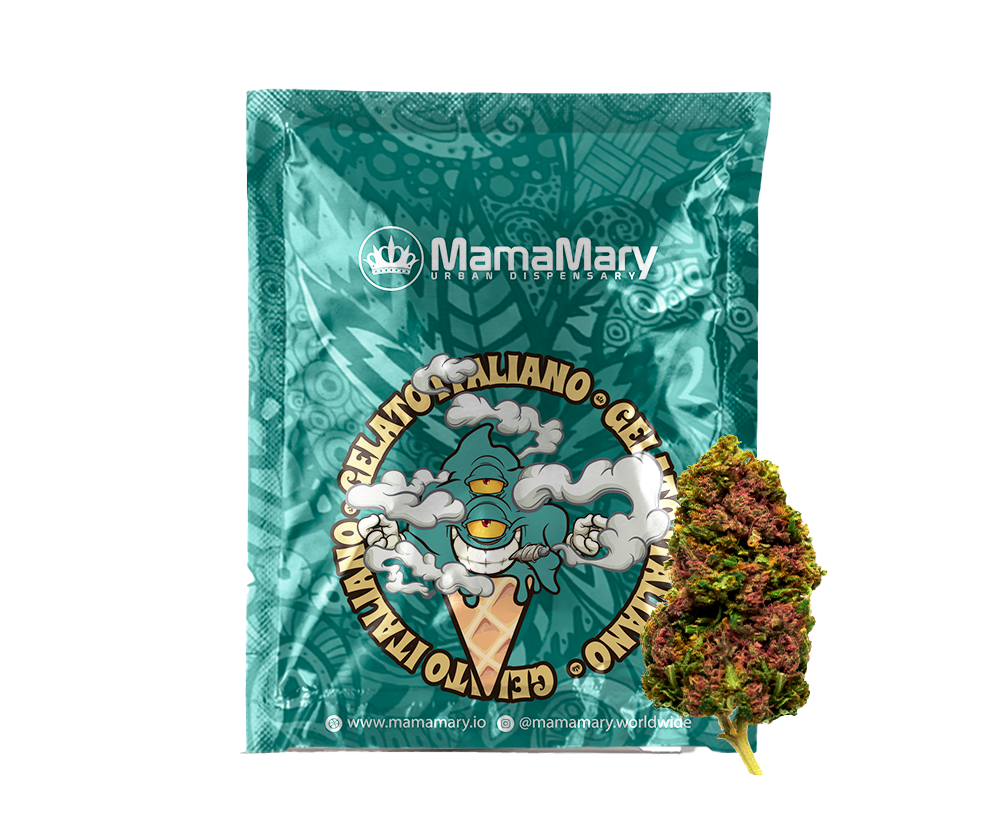 Gelato – Cup Winner – Premium Cannabis Flowers