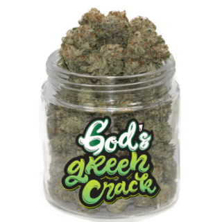 Green Crack Weed – Une Sativa Énergisante à 17 % de THC pour un Boost Mental Naturel