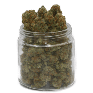 Platinum Girl Scout Cookies Weed – Cannabis 17 % THC | Achat premium sur mamamaryeu.com