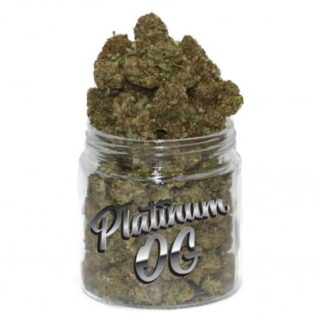 Platinum OG Weed – Cannabis 19 % THC | Détente Indica Puissante | mamamaryeu.com
