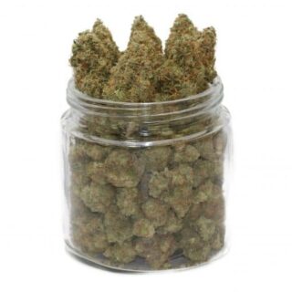 White Cheese Weed 19% – Cannabis Relaxant au Goût Fromagé | Acheter Beuh Unique