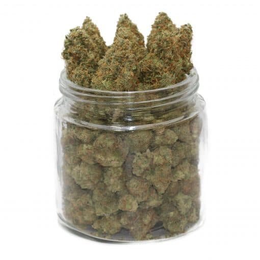 white-cheese-weed-19-cannabis-relaxant-au-gout-fromage-acheter-beuh-unique.jpeg