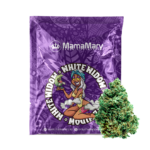 White Widow Cannabis Strain from Amsterdam